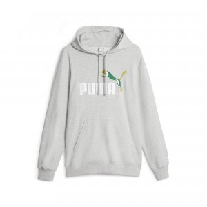 CLASSICS NO.1 LOGO CELEBRATION Hoodie TR