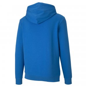 PUMA TEAMGOAL 23 CAUSALS HOODY