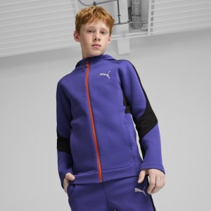 EVOSTRIPE FZ Hoodie DK