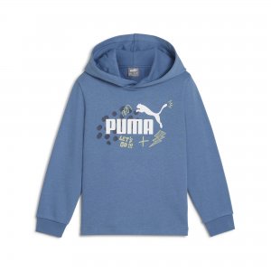 ESS PUMA FC Hoodie