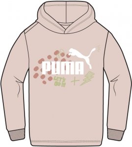 ESS PUMA FC Hoodie