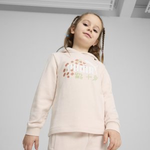 ESS PUMA FC Hoodie