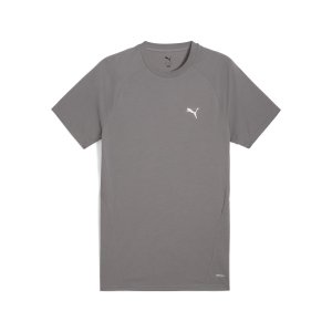 EVOSTRIPE Tee