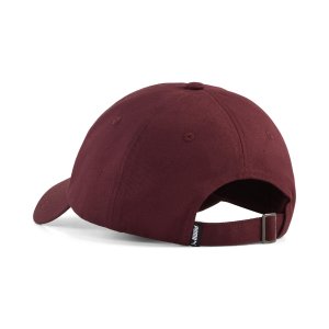 ESS SCRIPT LOGO Dad Cap