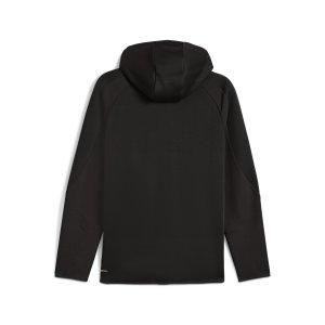 EVOSTRIPE FZ Hoodie DK