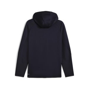 EVOSTRIPE FZ Hoodie DK